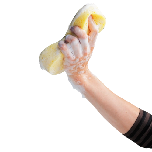 Latelier Du Nettoyage Entreprise De Nettoyage Orleans Nettoyage 1